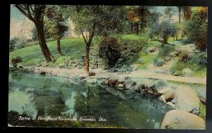 Spring (Mirror Lake) @ OSU Columbus Ohio used c1911