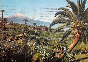 Paisaje con el Teide Islas Canarias Tenerife Spain Postal Used Unknown 