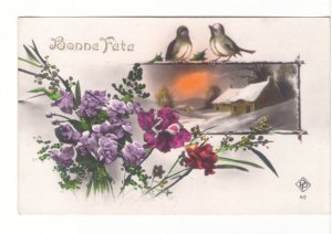 Bonne Fete, Winter Rural Scene, Cut Flowers, Birds, Vintage Birthday Postcard