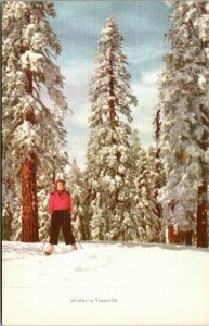 Vtg Winter in Yosemite Skier Skiing California CA Unused Postcard