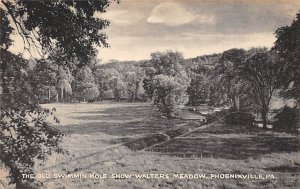 The Old Swimmin Hole Show Walters Meadow Phoenixville Pennsylvania, PA
