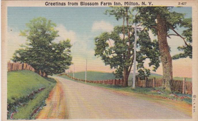 New York Greetings From Blossom Farm Inn Milton Curteich