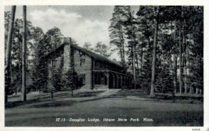 Douglas Lodge - Itasca State Park, Minnesota MN Postcard