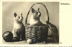 Cat Postcard Kittens (1930s) RPPC (6)