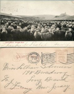 THRESHING IN MONTANA DRY LAND FARM ANTIQUE POSTCARD farm scene