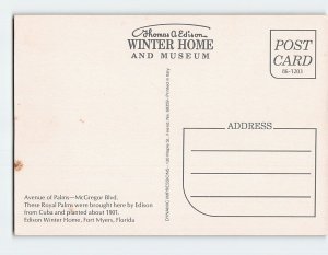 Postcard Avenue of Palms-McGregor Blvd., Edison Winter Home, Fort Myers, Florida