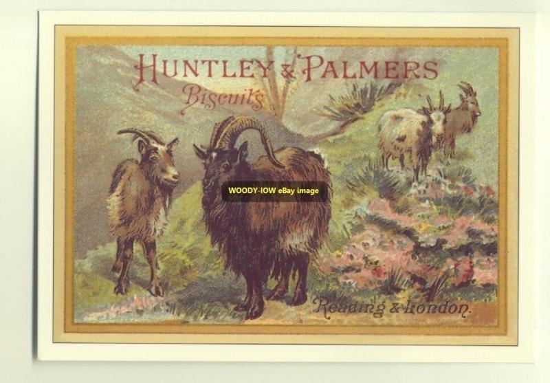 ad1939 - Huntley & Palmers Biscuits - modern advert postcard