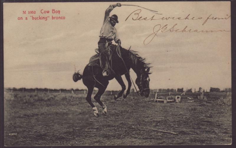 Cow Boy on a Bucking Bronco Postcard