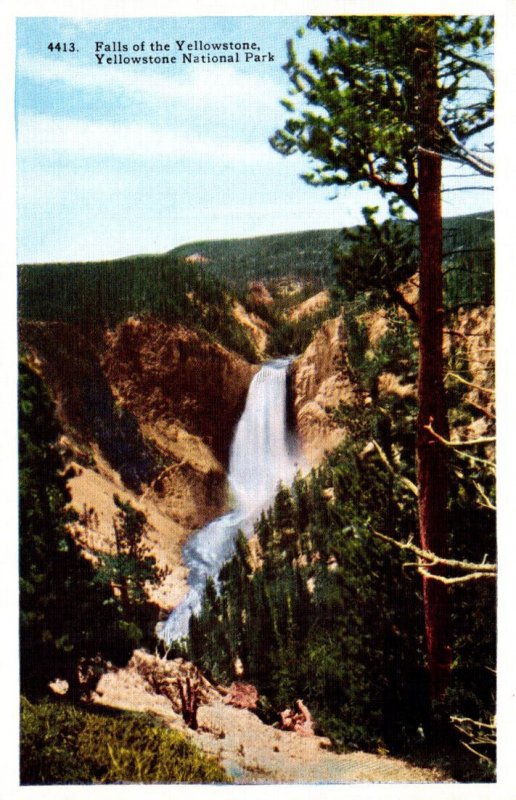 Yellowstone National Park Falls Of The Yellowstone