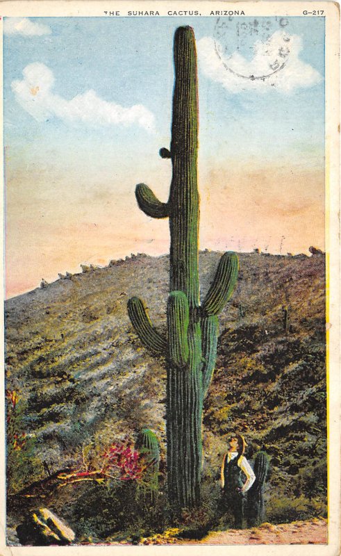 Suhara Cactus Arizona 1929 Postcard Pecos Texas cancel