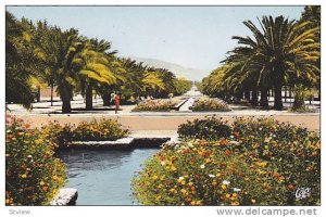 RP: Hand-colored, Fes , Morocco ,  Les Jardins Avenue Hascan II, 00-10s