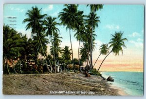 Puerto Rico Postcard Cocoanut Palms and Beach View 1940 Posted Vintage