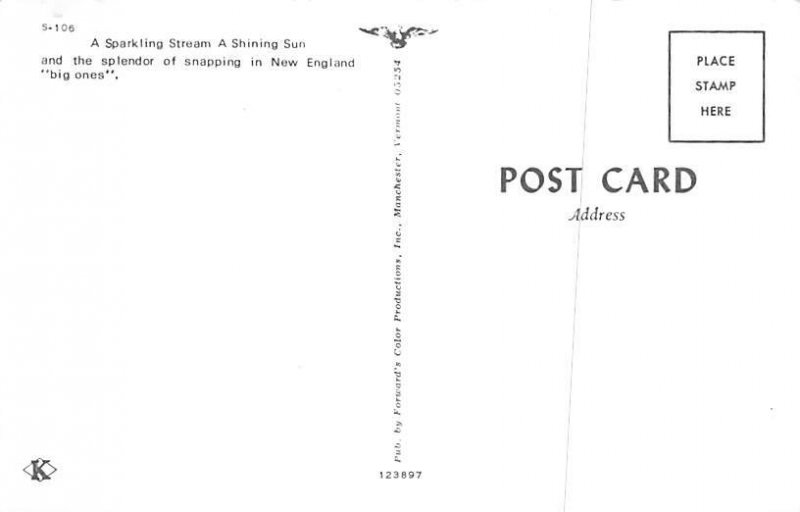 Sparkling Stream New England Unused 