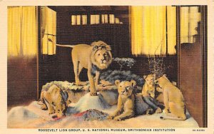 Roosevelt Lion Group, US National Museum, Smithsonian Institution Unused 