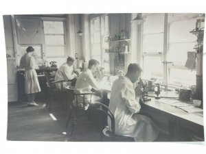 Microscopes being used by Test Laboratory Technicians Vintage Postcard c1950s