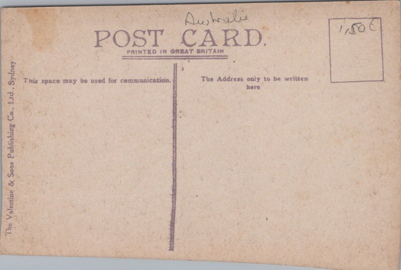 Australia The Orphan Rock Katoomba Blue Mountains New South Wales Postcard C104