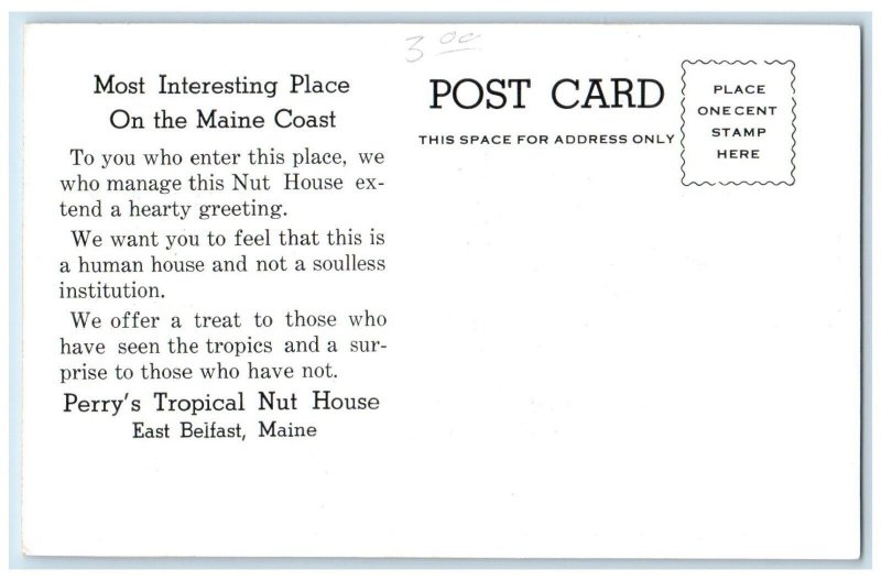 c1950 Perry's Nut House Tropical House Lion East Belfast Maine Vintage Postcard 
