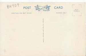 Devon Postcard - The Cliffs - Goddrington, - Paignton - Ref 21216A