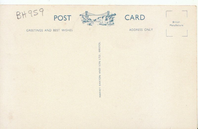 Devon Postcard - The Cliffs - Goddrington, - Paignton - Ref 21216A