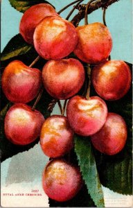 Fruit Royal Anne Cherries