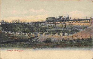 Puente Petrufguen Ferrocarril Train Railroad Bridge Chile 1910c postcard