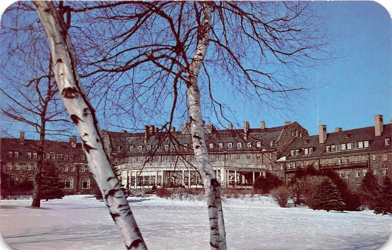 Pocono Mountains Pennsylvania~Skytop Lodge~Snow on Ground~Birch Trees~1950s Pc