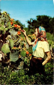 Texas - Woman & Cacti - [TX-123]