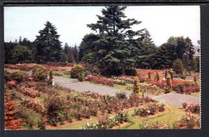 Rose Gardens,Washington Park,Portland,OR BIN