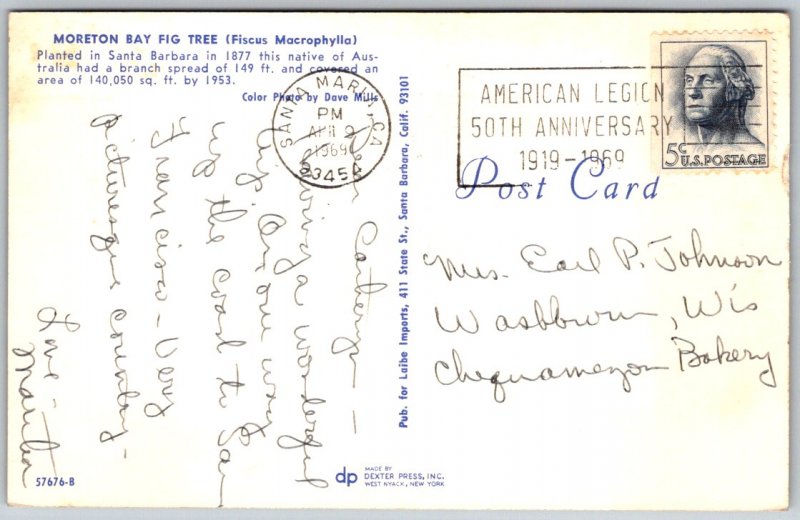 1969 Santa Barbara,CA Moreton Bay Fig Tree California Vintage Postcard 5c Stamp