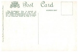 The Washington Elm located in Cambridge Massachusetts Postcard