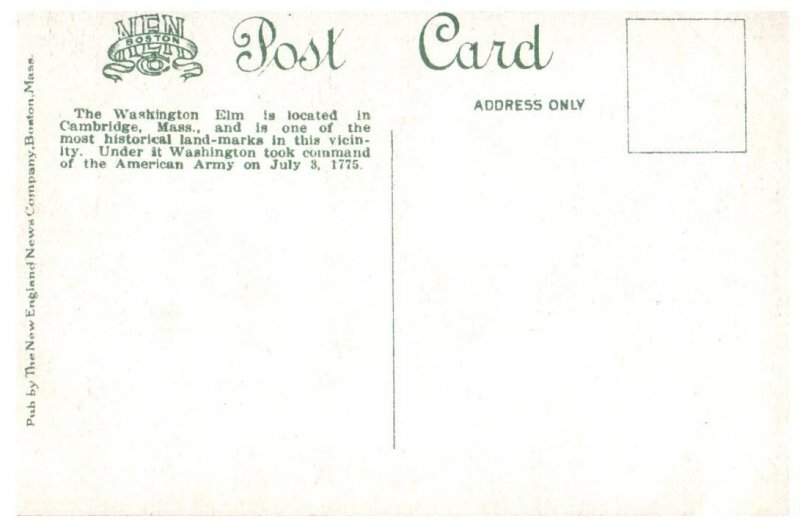 The Washington Elm located in Cambridge Massachusetts Postcard
