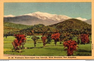 New Hampshire White Mountains Mt Washington Snow Capped From Intervale 1949 C...