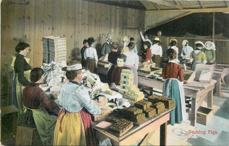 Women packing figs Calimyrna manufactory United States vintage postcard