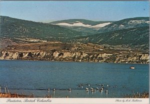 Canada Postcard - Penticton, British Columbia - Mid Winter Scene  RR18169