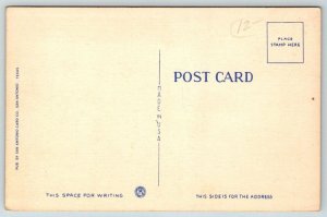 Large Letter Greetings From The Great Southwest   Postcard