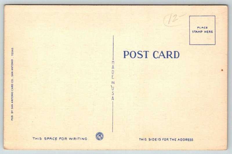 Large Letter Greetings From The Great Southwest   Postcard