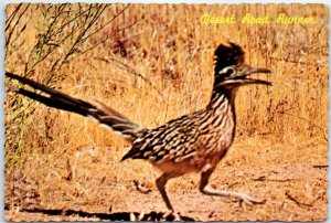 M-87328 The Road Runner Clown Of The West