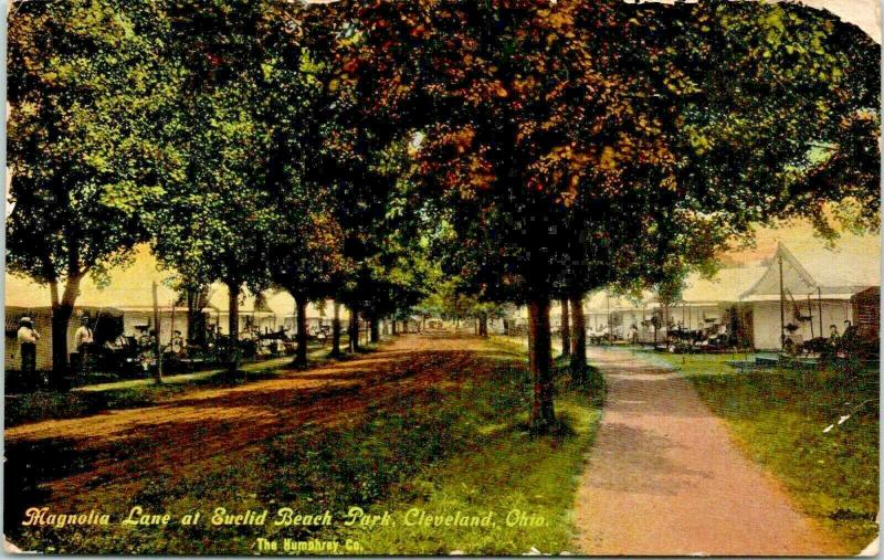 Cleveland Ohio~Euclid Beach Park~Magnolia Lane Cottages~Campers~c1910 Postcard 