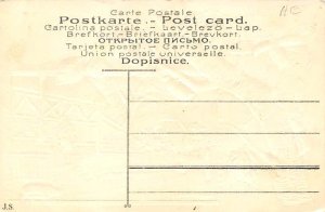 In a tree Insect Unused 