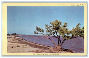 c1960s Rest Beach Boats Tree Scene Key West Florida FL Unposted Vintage Postcard