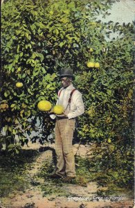 Jacksonville FL, Black Gentleman Holding Huge Grapefruit, 1911, Fruit, Postmark