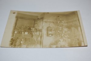 Floral Shop Interior Real Photo Postcard