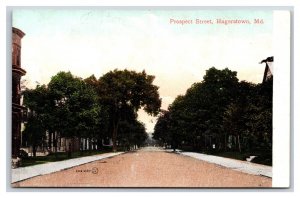 Prospect Street View Hagerstown Maryland MD UNP DB Postcard R25