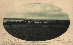 Sturgeon Bay Wisconsin WI Big Creek Panoramic View c1910 Vintage Postcard