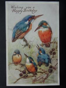 Greeting KING FISHER Theme Happy Birthday  c1942 Postcard by J. Salmon 4683