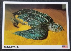 [AG] P188 Malaysia Leatherback Turtle Lay Eggs Marine Life Fauna (postcard) *New