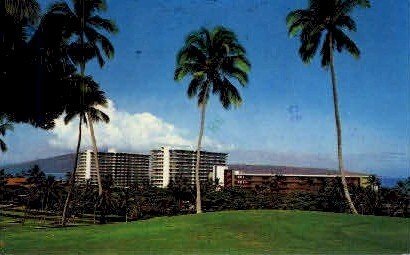 The Whaler & Kaanapali Hotel - Maui, Hawaii HI