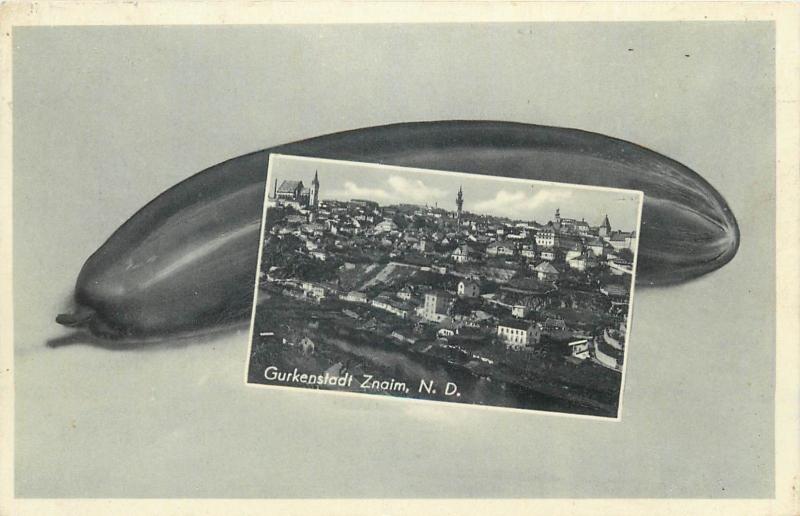 Znojmo Znaim cucumber vegetable & panorama Czech Republic rare 1940 postcard