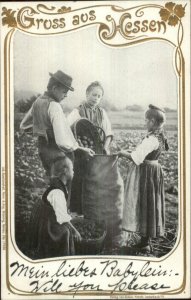 Gruss Aus Hessen Germany Potato? Farmers Farming c1905 Postcard