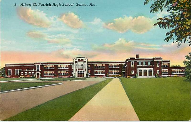 Albert G. Parrish High School Selma Alabama AL Linen like Chrome